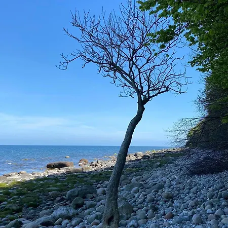 Apartment Sonnendeck Rügen Lohme
